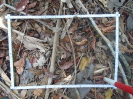 PA_1719_4_538d
