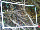 PA_1721_3_188a