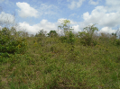 PA_1772_0_354