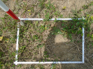 PA_1772_1_356a (2)