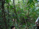 PA_1774_0_471