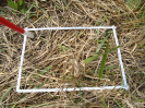 PA_1774_1_473a