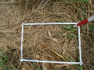 PA_1774_1_474b