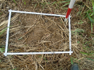PA_1774_1_475c