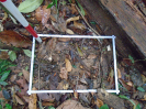 PA_1774_2_478a