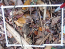 PA_1774_2_479b