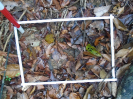 PA_1774_2_481d