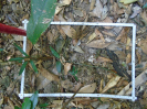 PA_1776_1_45a
