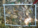 PA_1776_1_46b