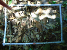 PA_1776_1_48d
