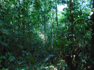 PA_1776_2_49