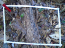 PA_1776_2_50a