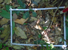 PA_1776_2_51b