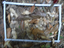 PA_1776_2_52c