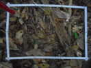 PA_1776_2_53d