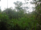 PA_1778_1_827