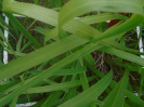 PA_1778_1_830c