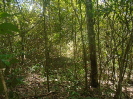 PA_1886_3_717