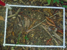 PA_1886_4_722a