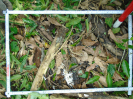 PA_1930_1_1174b