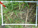 PA_1930_1_1176d