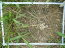 PA_1930_2_1180b
