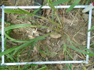 PA_1930_2_1181c