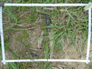 PA_1930_3_1186c