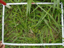 PA_1930_3_1187d