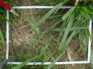 PA_1930_4_1189a