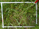 PA_1930_4_1190b