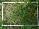 PA_1930_4_1192d