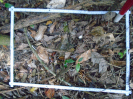 PA_1933_2_913b