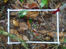 PA_1933_2_934c