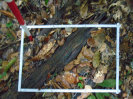 PA_1933_2_937d