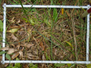 PA_1933_3_942b