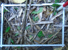 PA_1933_4_946b