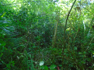 PA_1933_4_947