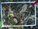 PA_1933_4_948c