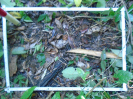 PA_1933_4_949d