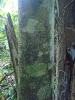PA_1933_919