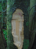 PA_1933_920