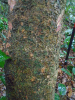 PA_1933_921