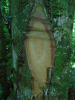 PA_1933_925