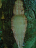 PA_1933_928