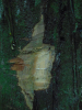 PA_1933_930