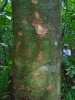 PA_1933_931