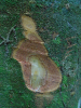 PA_1933_933