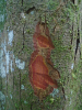 PA_1933_939