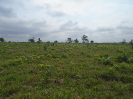 PA_1936_2_102